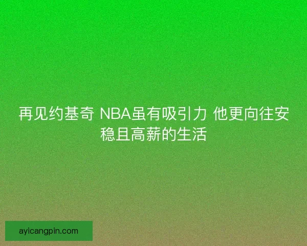 再见约基奇 NBA虽有吸引力 他更向往安稳且高薪的生活